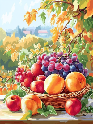 Ovocný košík still life – 25-239