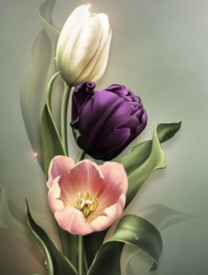 Tri tulipány