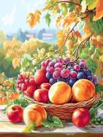 Ovocný košík still life – 25-239